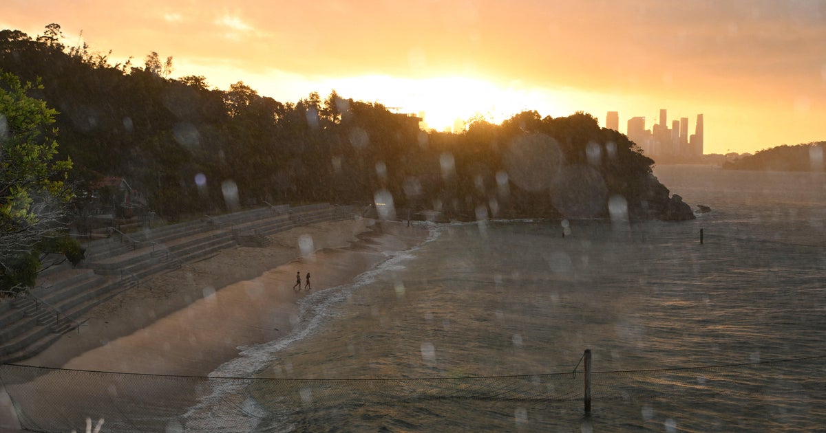 Акула разкъса момче плуващо в пристанището на Сидни в неделя