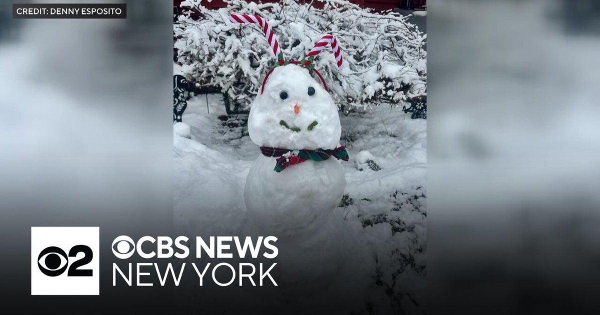 See some of CBS News New York viewer snow photos!