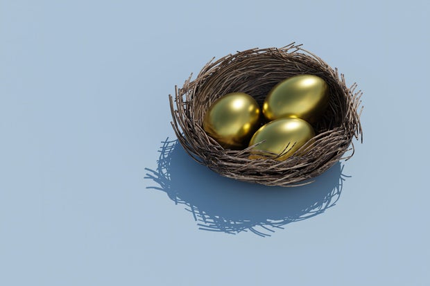 Nest egg 
