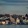 Buildings on the working waterfront catch the early morning light, Feb. 26, 2025, in Portland, Maine. 
