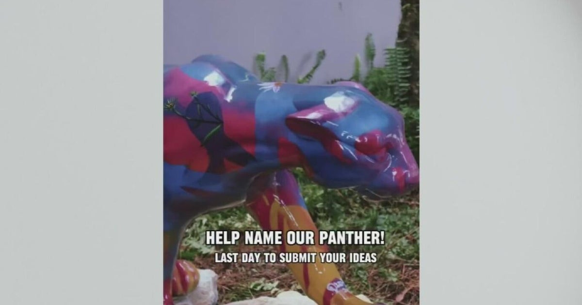 Pembroke Pines reveals four finalists to name new panther sculpture