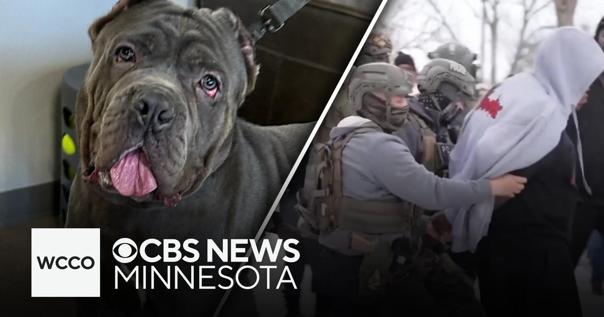 A local organization is helping take care of pets who are left after ...