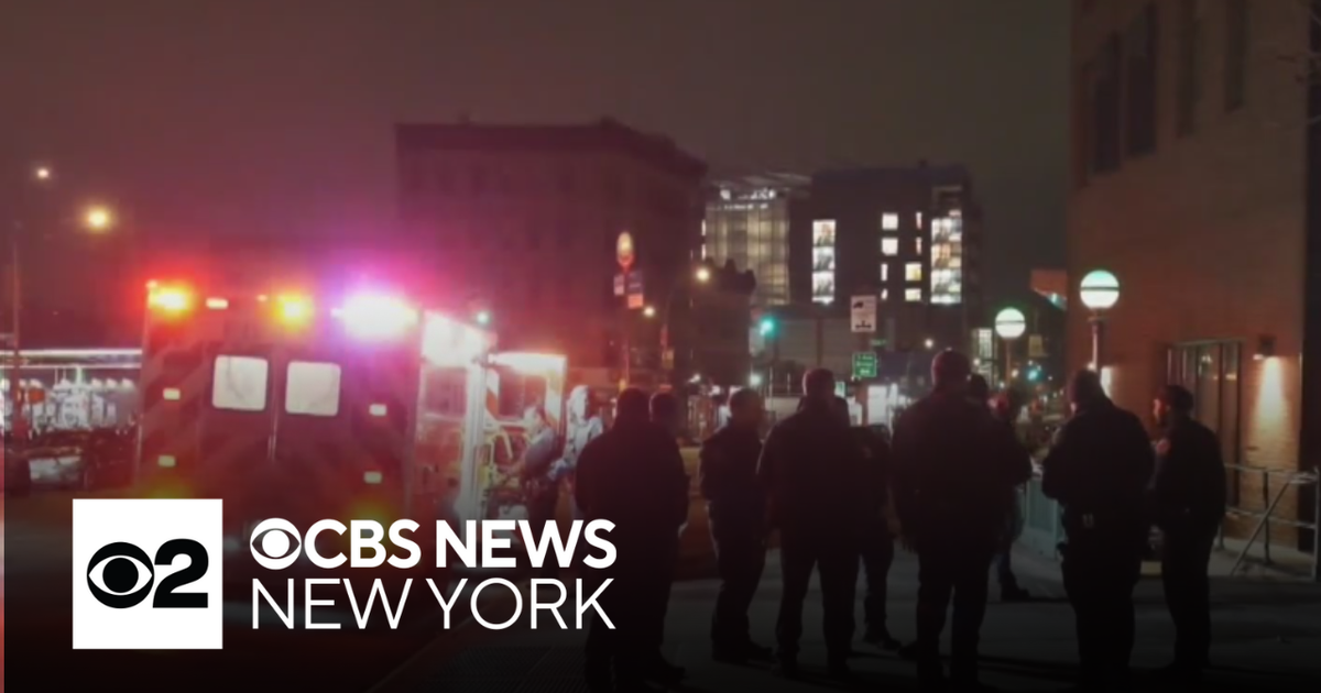 Person spit on, headbutted cops and MTA employee in Bronx subway, police say