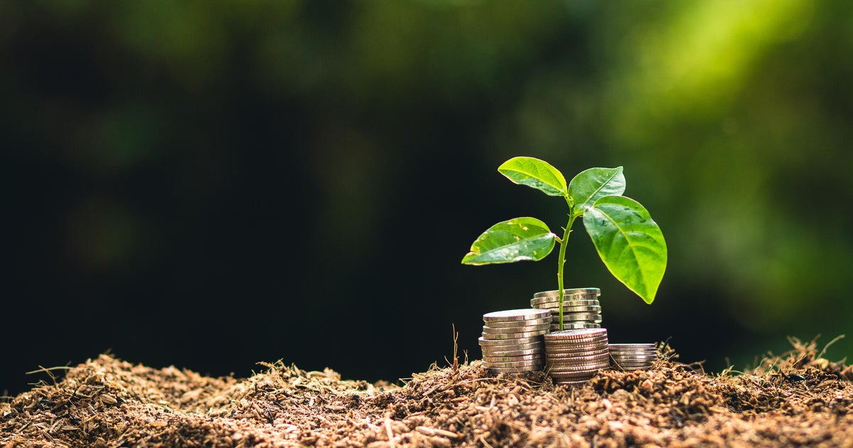 Традиционните спестовни сметки високодоходните спестовни сметки и сметките на паричния