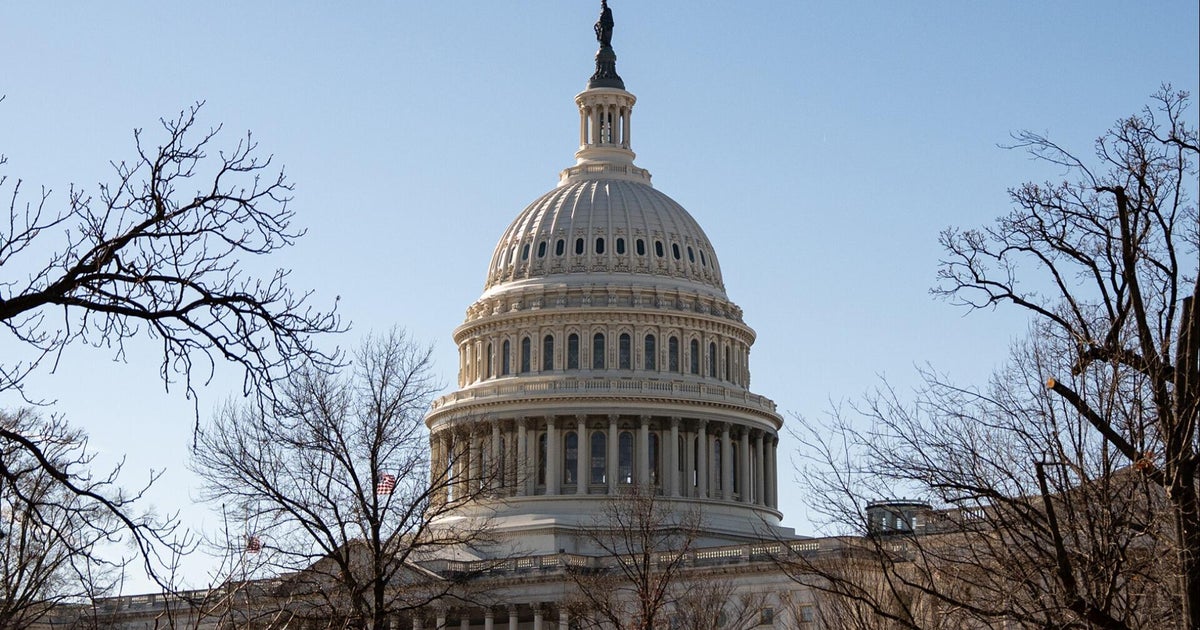 7 House Democrats join Republicans to vote for Homeland Security funding amid ICE backlash