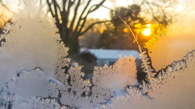 Feathered ice crystals 