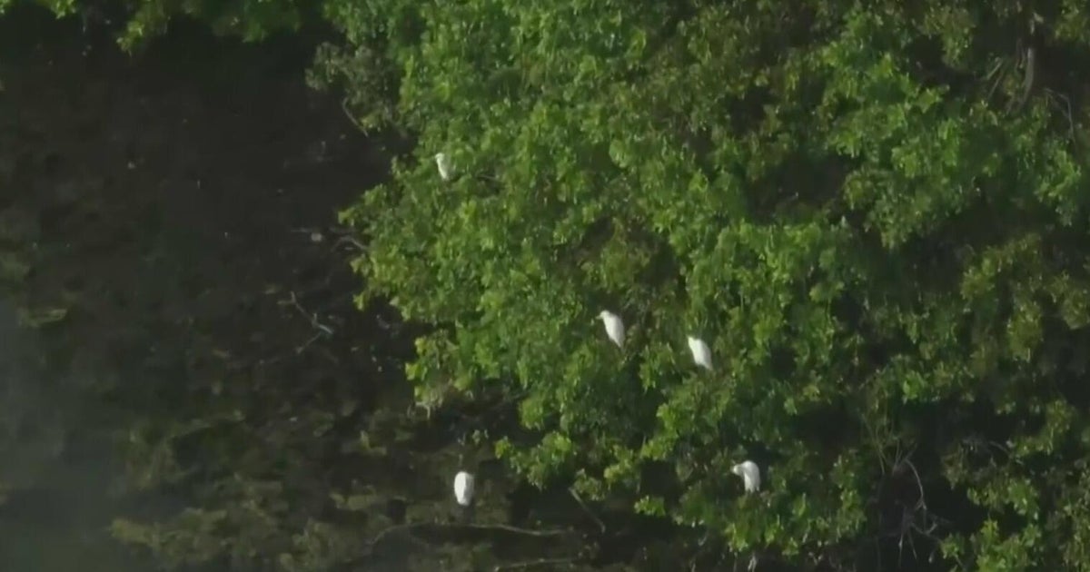 West Kendall residents fight to save former golf course from housing development