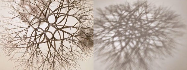 ruth-asawa-sculpture-and-shadow.jpg 