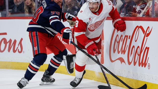 Red Wings Jets Hockey 