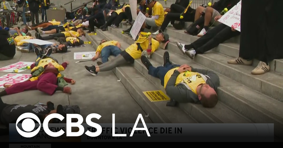 "Die-in" rally held outside Los Angeles City Hall