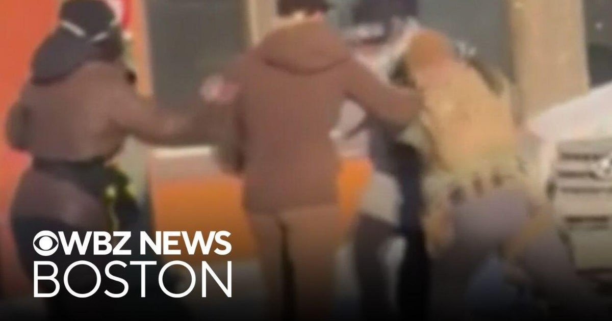 Video shows moments leading up to deadly ICE shooting of Minneapolis nurse Alex Pretti