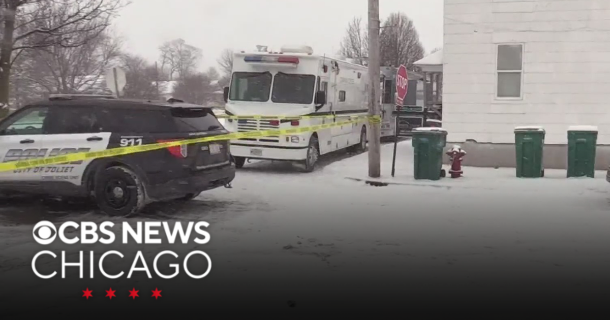 Man in custody after mother, 4-year-old child shot and killed in Joliet