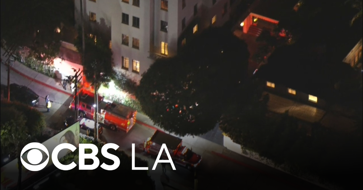 Los Angeles police searching for suspect who allegedly shot neighbor in ...