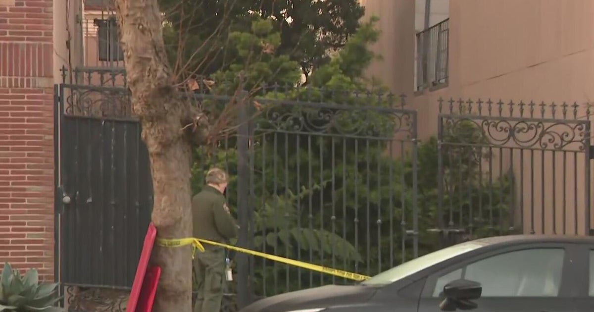 Mountain lion spotted in San Francisco's Pacific Heights found and contained