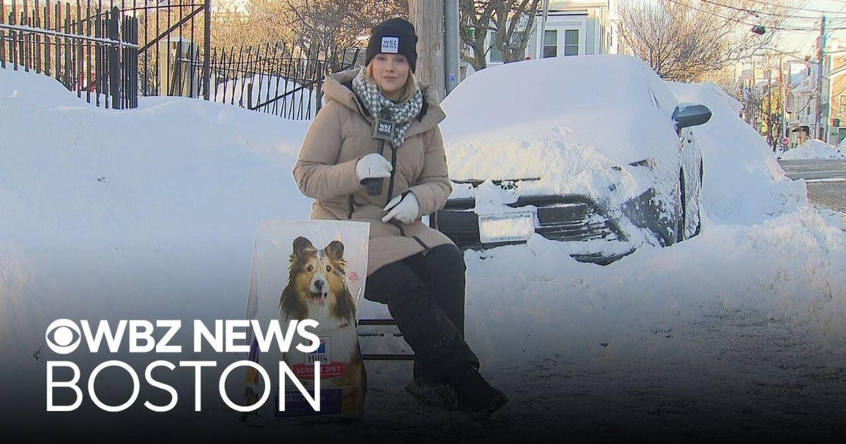 Space savers are out in South Boston, but they won't be for long