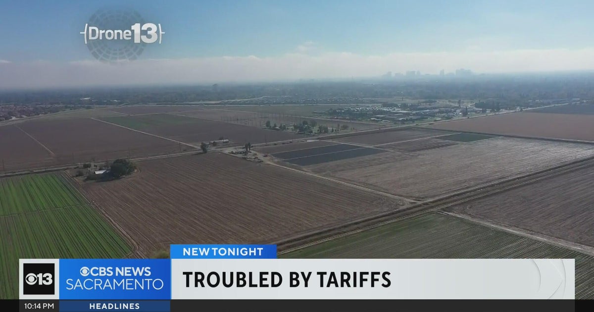 Some Sacramento region farmers say tariffs are cutting profits and wasting crops