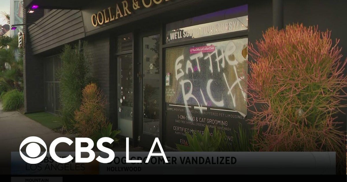 Hollywood high-end pet grooming shop is targeted by vandals