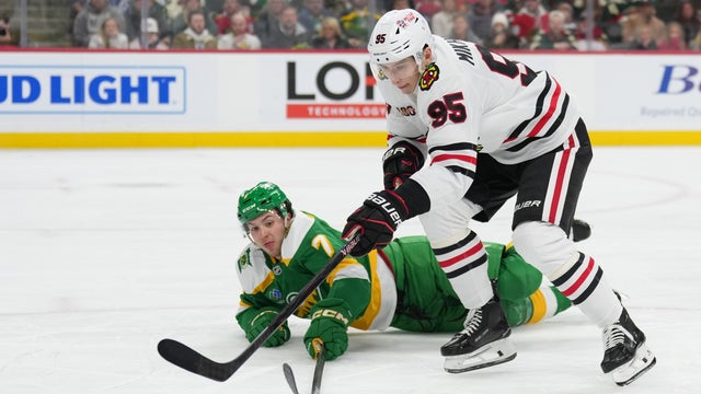 Blackhawks Wild Hockey 