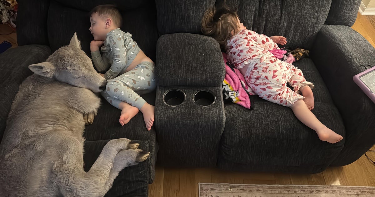 Семейство от Кентъки борещо се с екстремните ниски температури във