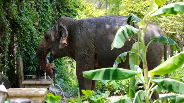 Places To Visit - Thailand 