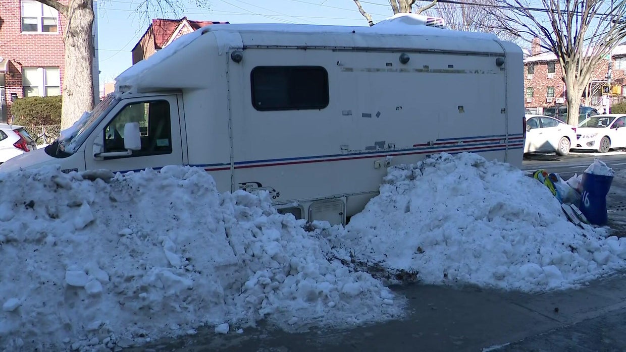 Carbon monoxide suspected of killing vet, dog in Queens animal care van ...