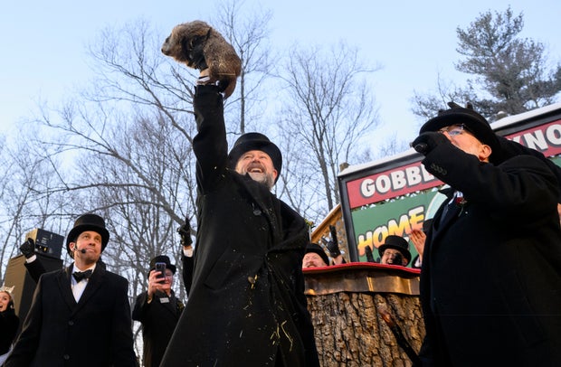 Punxsutawney Phil Looks For His Shadow On Groundhog's Day 