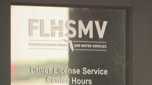 License plate - Florida State 