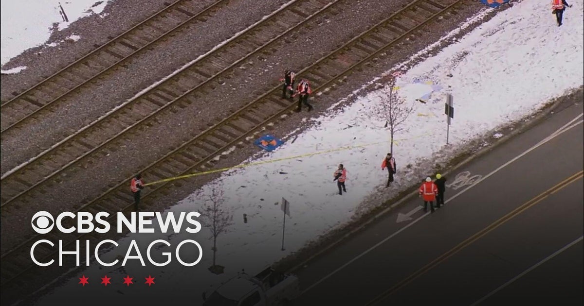 Pedestrian struck, killed by Metra UP-NW train in Mt. Prospect; trains ...