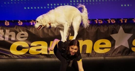 Meta finds Baltimore County teen did not violate sexual exploitation policy hours after WJZ inquiry