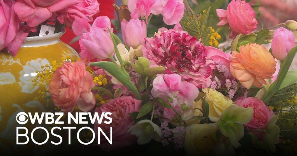 Florist from Franklin, Massachusetts explains why it is important to shop small on Valentine's Day