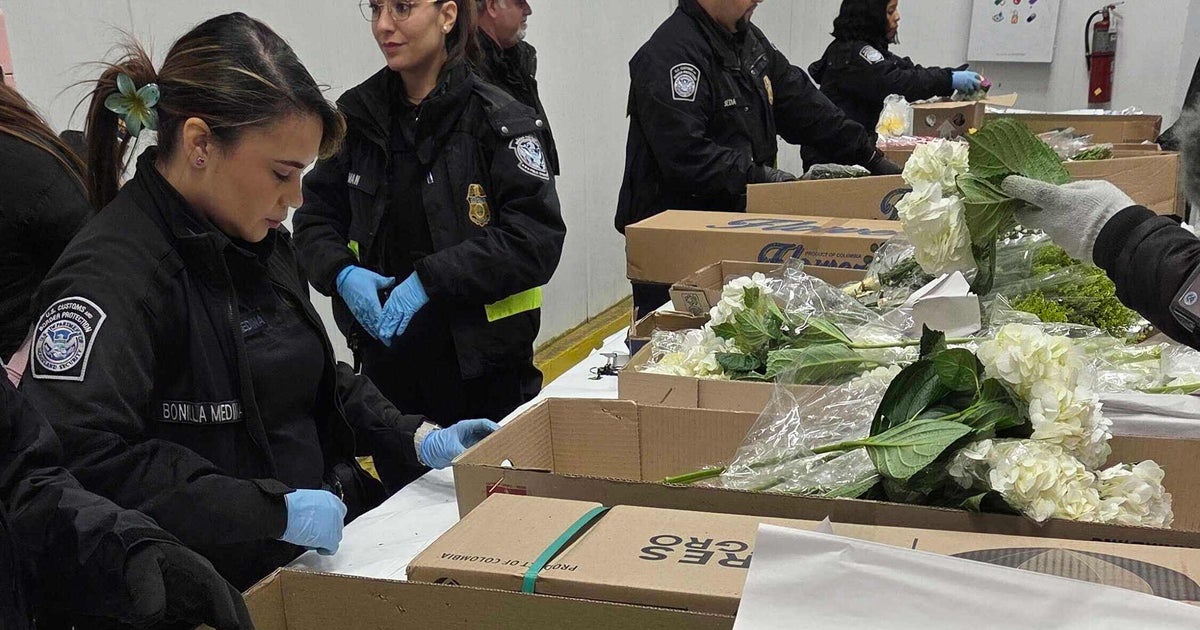 Valentine flower imports increase at Miami airport, despite tariffs and higher costs, officials say