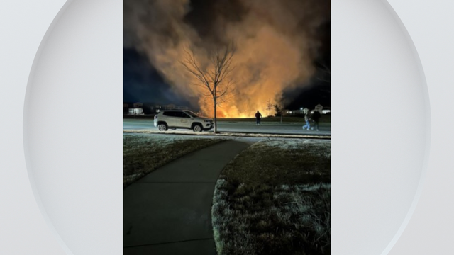 timnath-grass-fire-1-timnath-pd-on-fb.png 