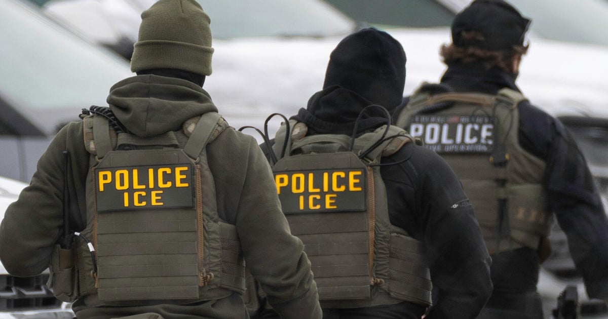 Less than 14% arrested by ICE in 2025 had violent criminal records, DHS document shows