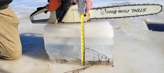 Ice still covers Delaware River, Bay and even New Jersey's cranberry bogs as temperatures get above freezing