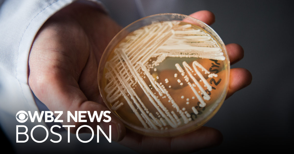 Dangerous fungus spreads across hospitals and nursing homes nationwide