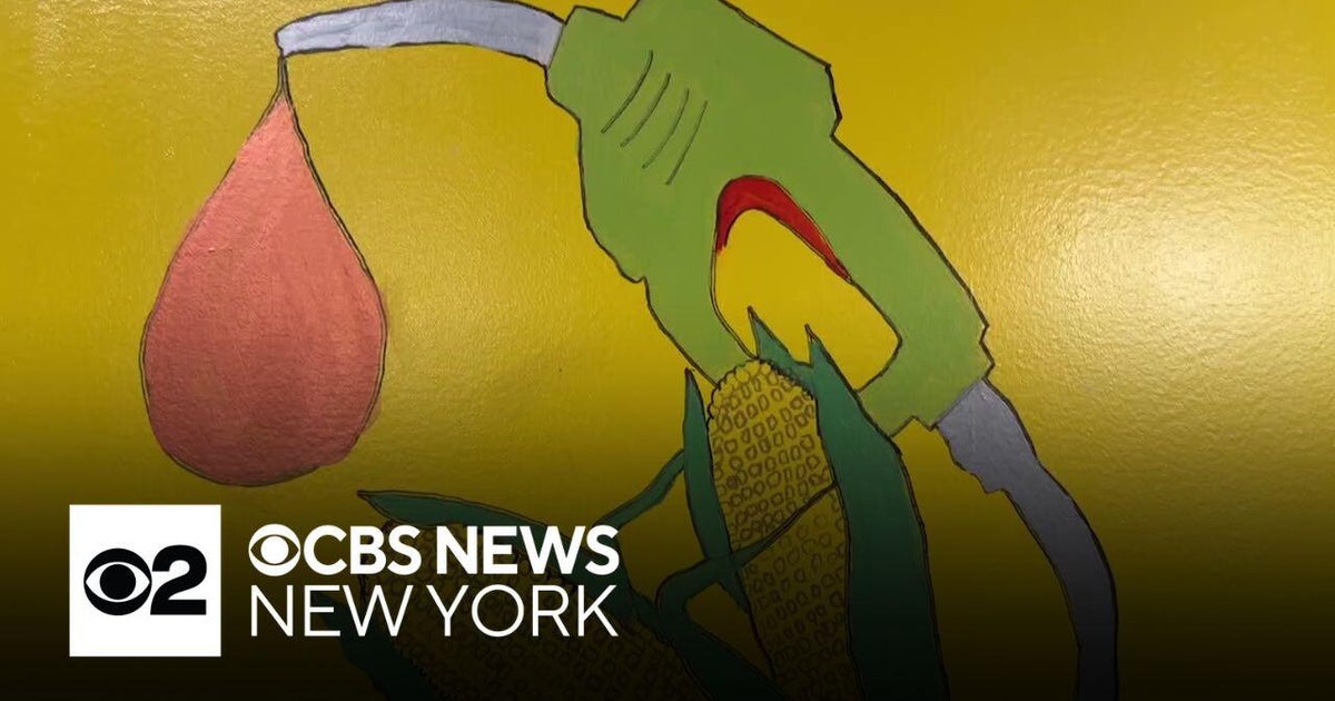 Brooklyn school is first in NYC to heat its building entirely with vegetable oil biofuel