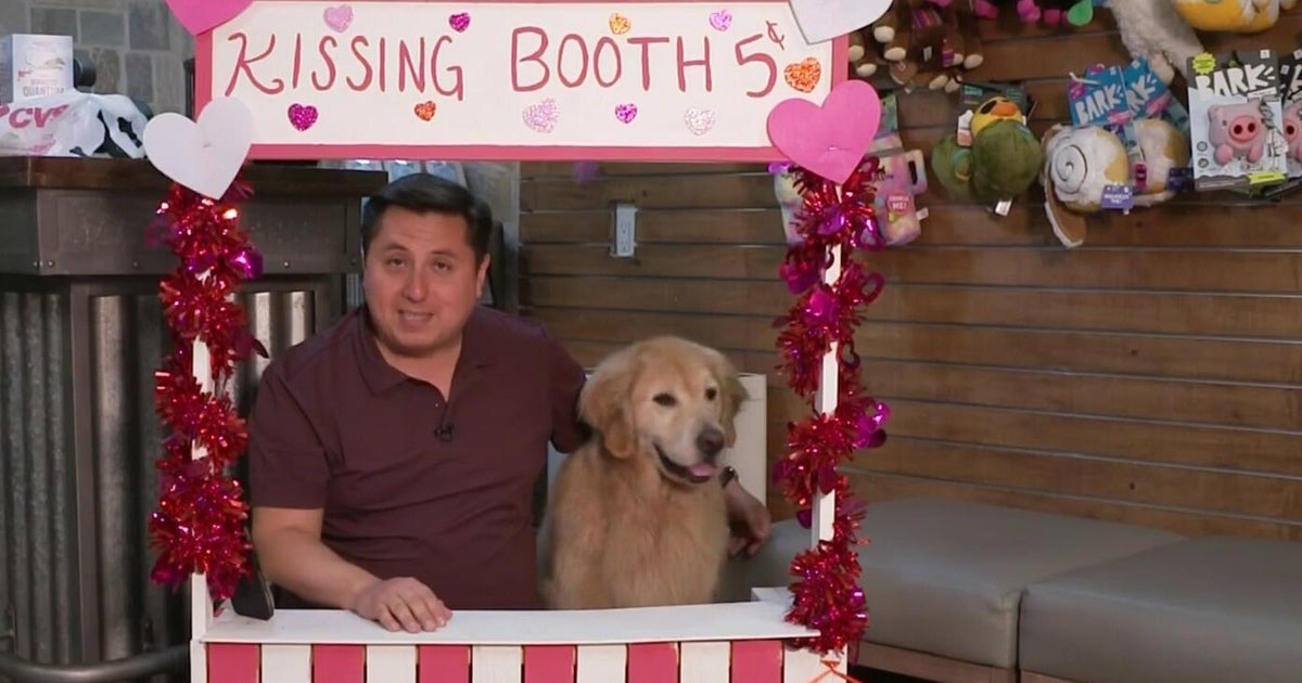 Pets are feeling the love this Valentine's Day with increased spending