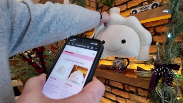 Pierogi plush pillow with phone in foreground 