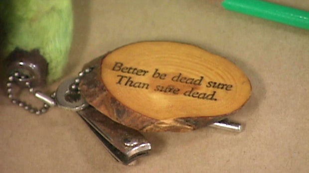 Mary Kay Heese evidence