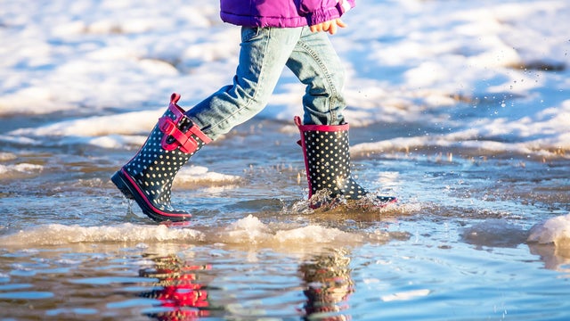Waist Down of Child Walking Through Springtime Puddle 