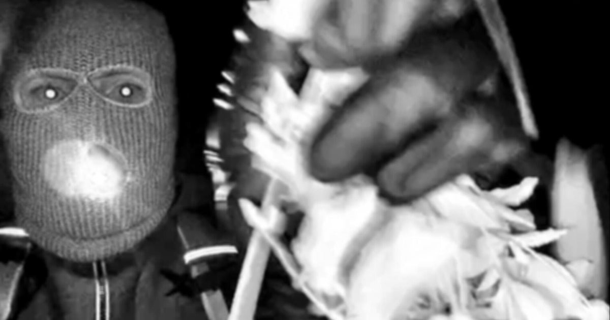 Details on mask, clothing worn by suspect in Nancy Guthrie disappearance