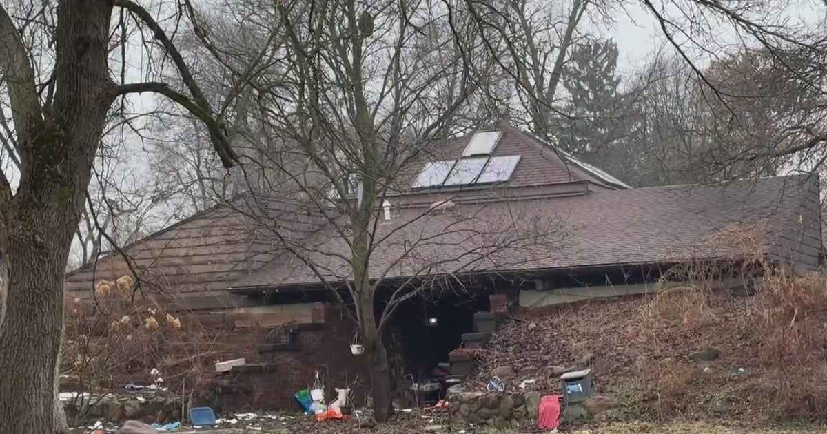 Over 60 animals rescued from Michigan home - CBS Detroit