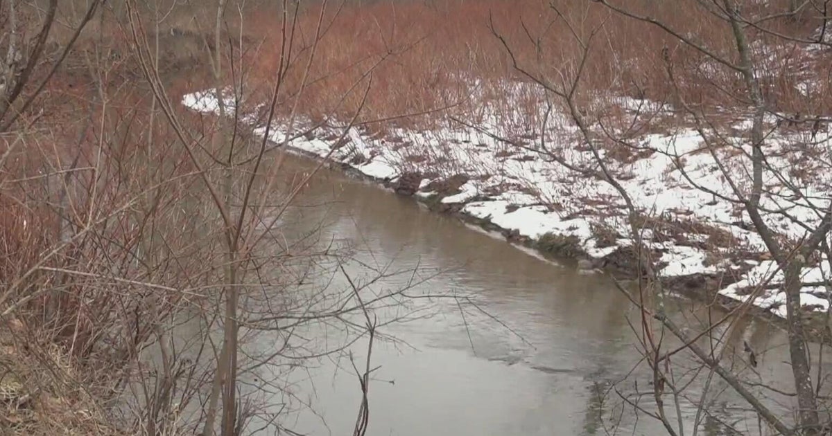 Environmental group finds elevated PFAS levels in waterways near Pittsburgh International Airport