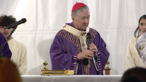 cardinal-cupich.png 