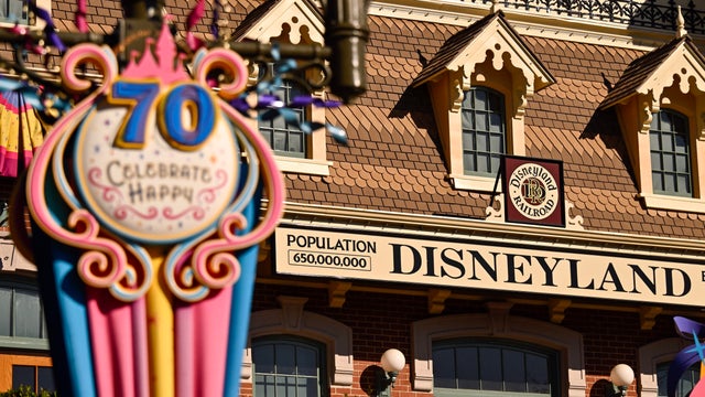 Disneyland Resort 