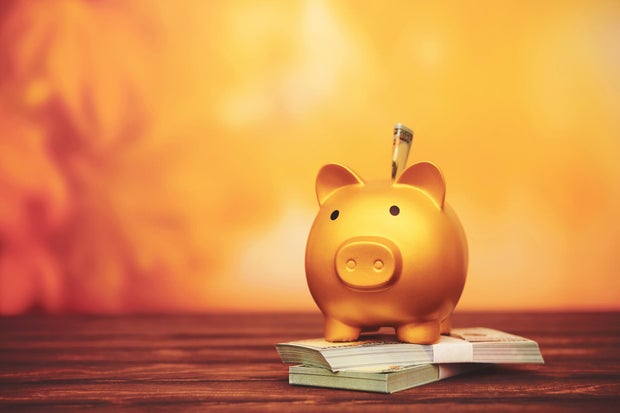 Fall Savings. Pig bank with dollars and space for copy 