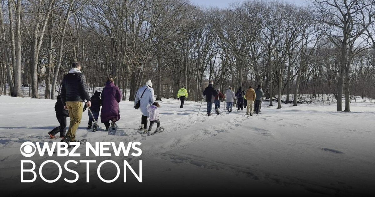 Franklin Park Winter Festival underway with skating rink, snowshoeing safari and more