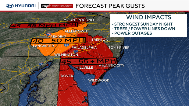 Wind gust forecast 
