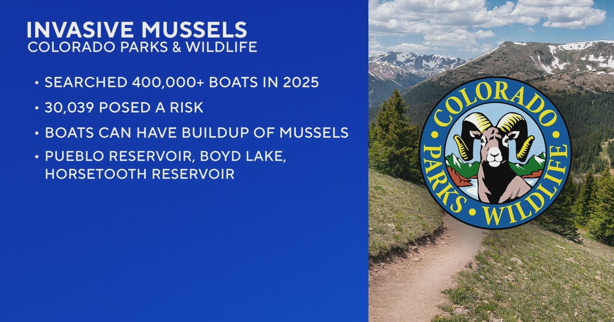 Colorado Parks and Wildlife decontaminate thousands of boats due to invasive mussels