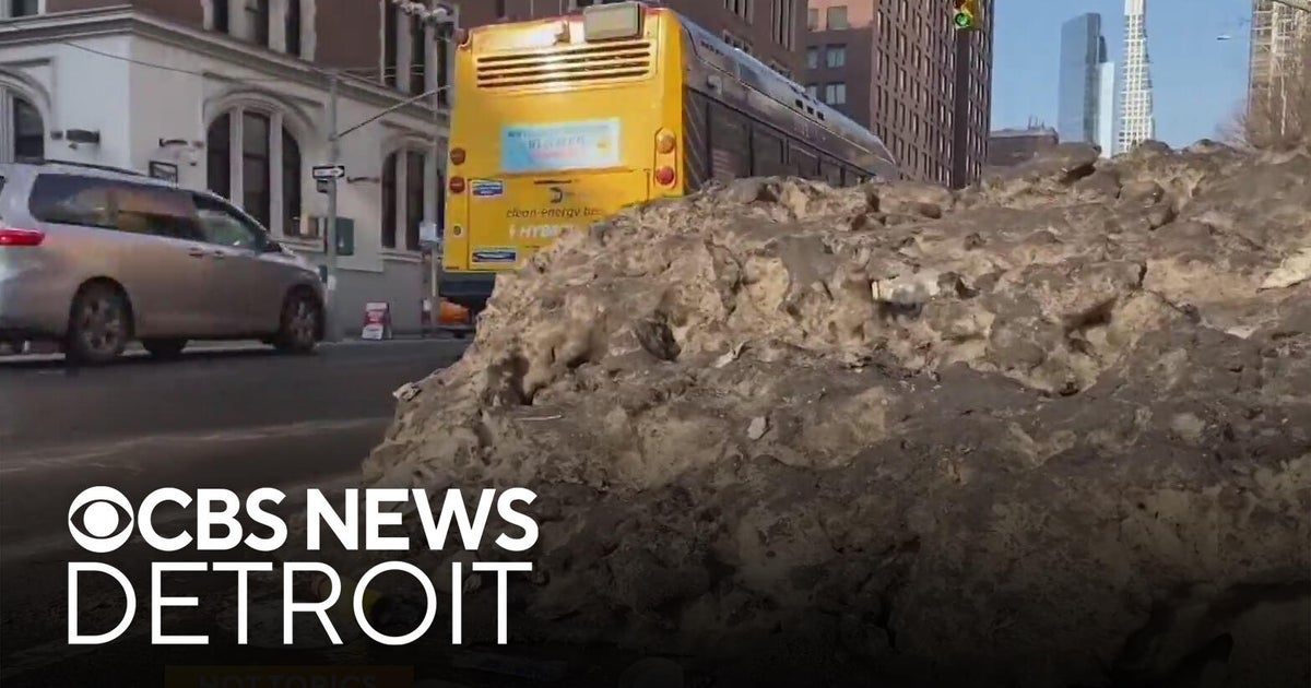 New York City sees spike in dog waste complaints after recent snowstorm